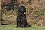 BRIARD 047